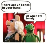 bones.jpg