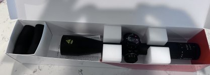 IMG_3398.jpeg