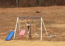 IMG_1002.jpeg