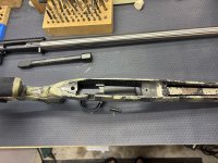 IMG_1629.jpeg