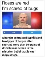 SNORT.jpg