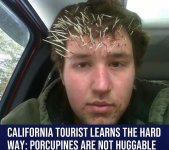 IMG_6930.jpeg