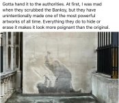IMG_1159.jpeg