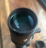 IMG_6795.jpeg