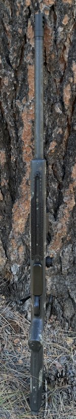 IMG_7272.jpeg