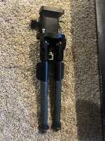 IMG_1524.jpeg