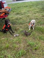 IMG_4913.jpeg