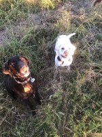 IMG_3207.jpeg