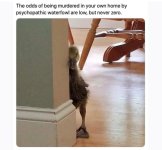 IMG_1265.jpeg