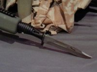 ANMP0017.jpg