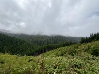 IMG_0323.jpeg