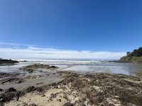 IMG_0329.jpeg