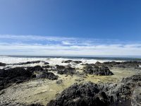 IMG_0331.jpeg