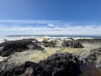IMG_0335.jpeg