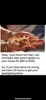 1757933181888.png