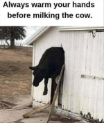 1757934283411.png