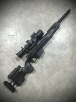 IMG_4371.jpeg
