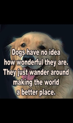 1757937622559.png