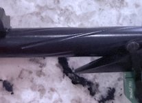 IMG_5238.jpeg