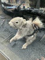 IMG_1289.jpeg
