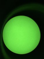 IMG_5376.jpeg