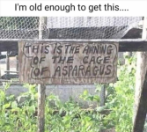 1758022883714.png