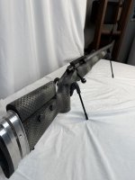 IMG_8513.jpeg