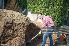 farmer-man-shoveling-the-manure-2680126814.jpg