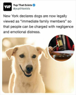 1758099957265.png