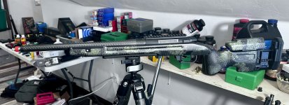 IMG_8759.jpeg
