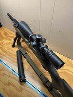 IMG_6895.jpeg