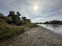 IMG_1427.jpeg