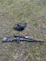 IMG_2245.jpeg