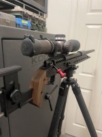 IMG_8995.jpeg