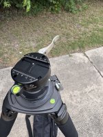 IMG_4580.jpeg