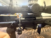 IMG_1158.jpeg