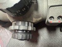 IMG_4413.jpeg
