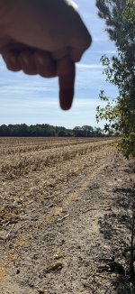IMG_9212.jpeg