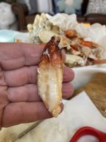 IMG_6262.jpeg