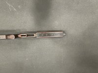 IMG_9738.jpeg