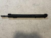 IMG_3726.jpeg