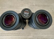 IMG_5739.jpeg