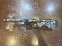 IMG_5217.jpeg