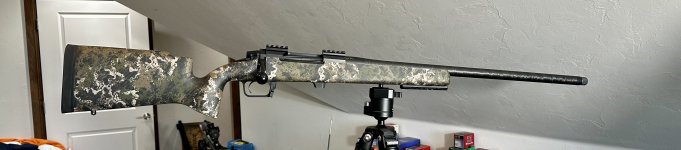IMG_8036.jpeg