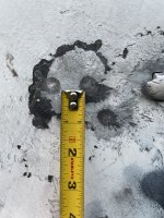 IMG_4239.jpeg