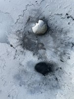 IMG_4220.jpeg