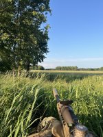 IMG_7519.jpeg