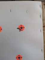 PXL_20230304_221603483.jpeg