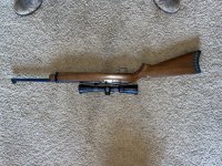 IMG_3404.jpeg
