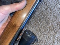 IMG_3405.jpeg